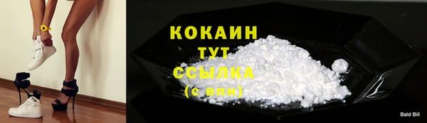 ПСИЛОЦИБИНОВЫЕ ГРИБЫ Инсар