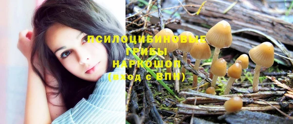 кокаин премиум Каменка