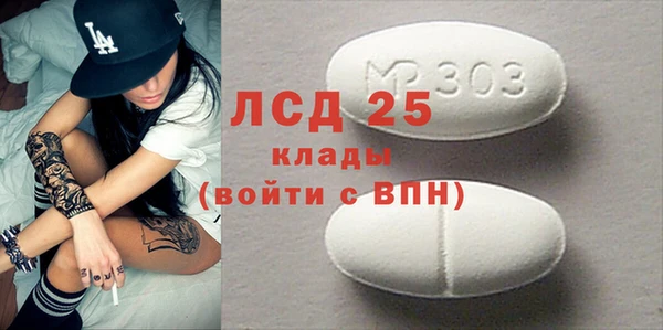 ПСИЛОЦИБИНОВЫЕ ГРИБЫ Инсар